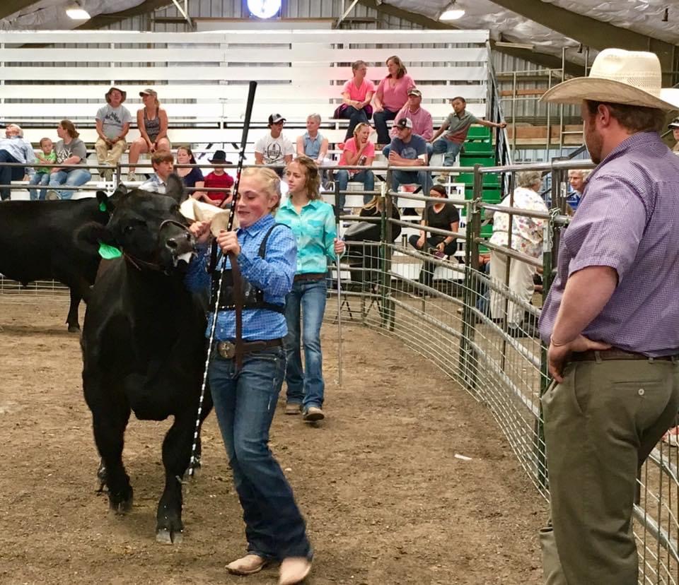 Teton County 4-H Fair : Event Image